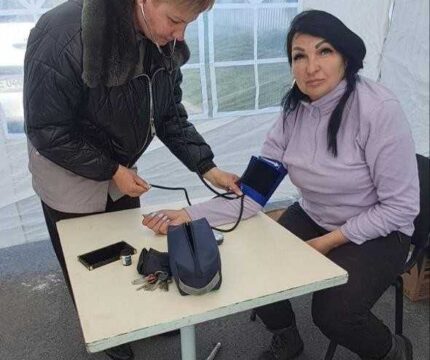 6л